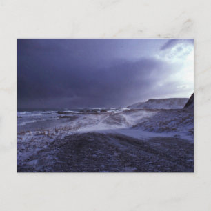 Shemya Island North Beach Postcard