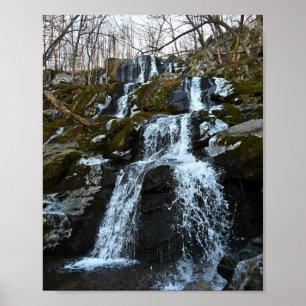 Shenandoah Cascade Poster