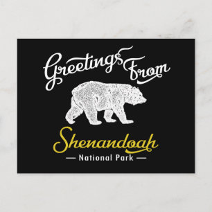 Shenandoah National Park Bear Postcard