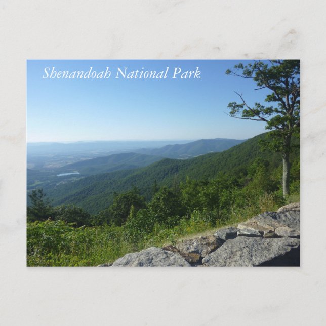 Shenandoah National Park Postcard (Front)