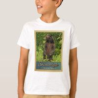 Shenandoah National Park Vintage Bear