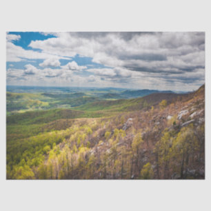 Shenandoah Valley Tissue Paper