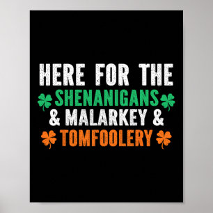 Shenanigans Malarkey And Tomfoolery Funny St Patri Poster