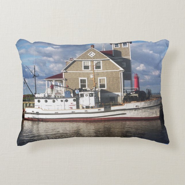 Shenehon accent pillow (Front)