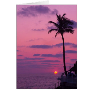 Shephards Sunset, Clearwater, Fl.