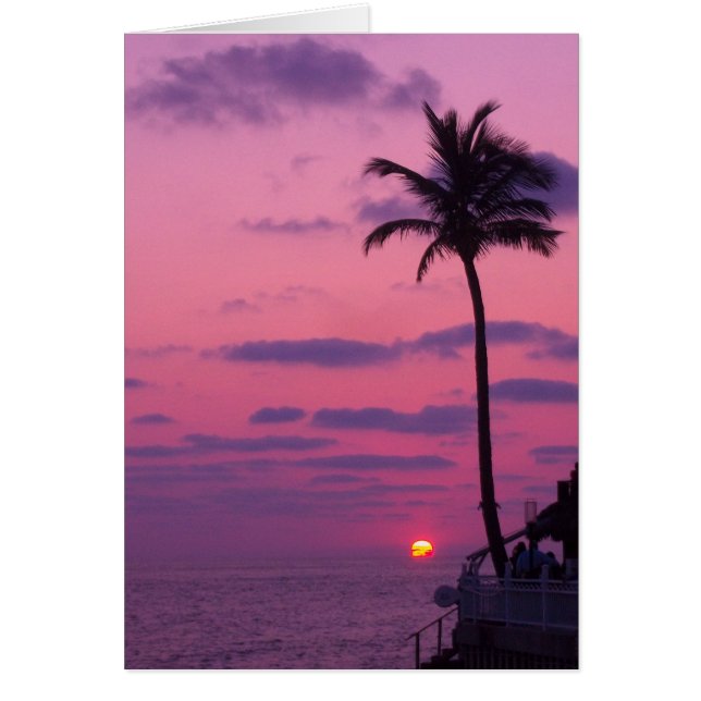 Shephards Sunset, Clearwater, Fl. (Front)