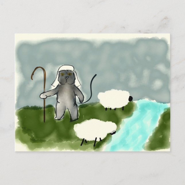 Shepherd  Cat Postcard (Front)