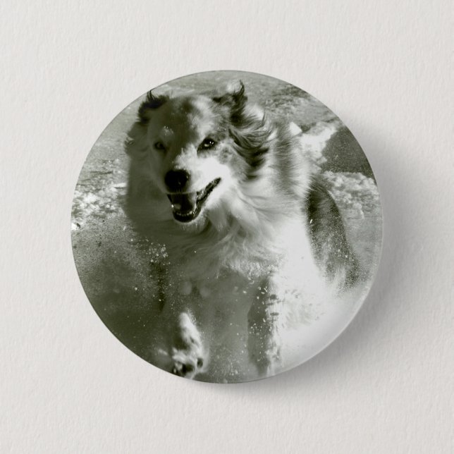 Shepherd Dog Running In Snow, 6 Cm Round Badge (Front)