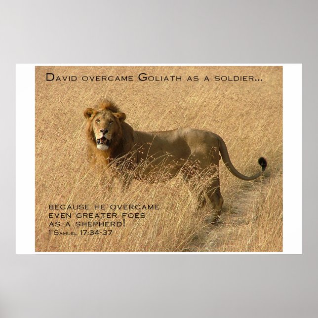 Shepherd Encouragement Poster (Front)