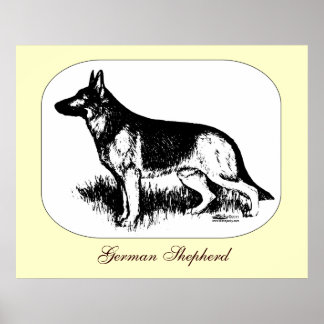 Shepherd Profile Poster