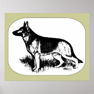 Shepherd Profile Poster