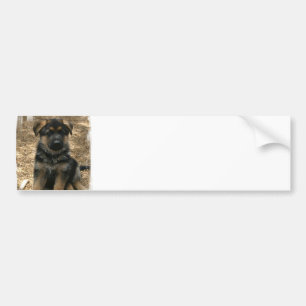 Shepherd Puppy Bumper Sticker