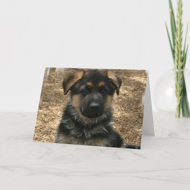 Shepherd Puppy  Greeting Card (Front)