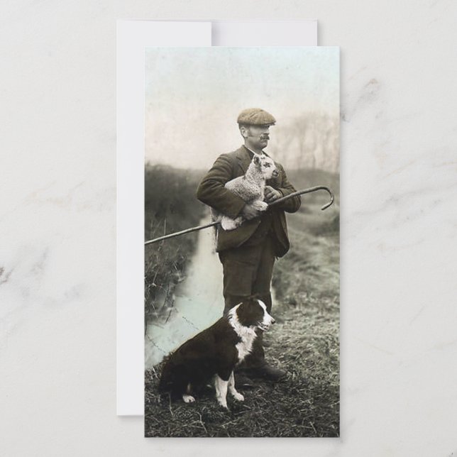 Shepherd With Lamb and Border Collie (Front)