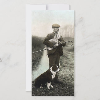 Shepherd With Lamb and Border Collie