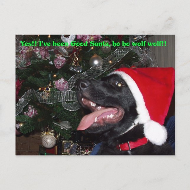 Shepherd xmas postcard (Front)