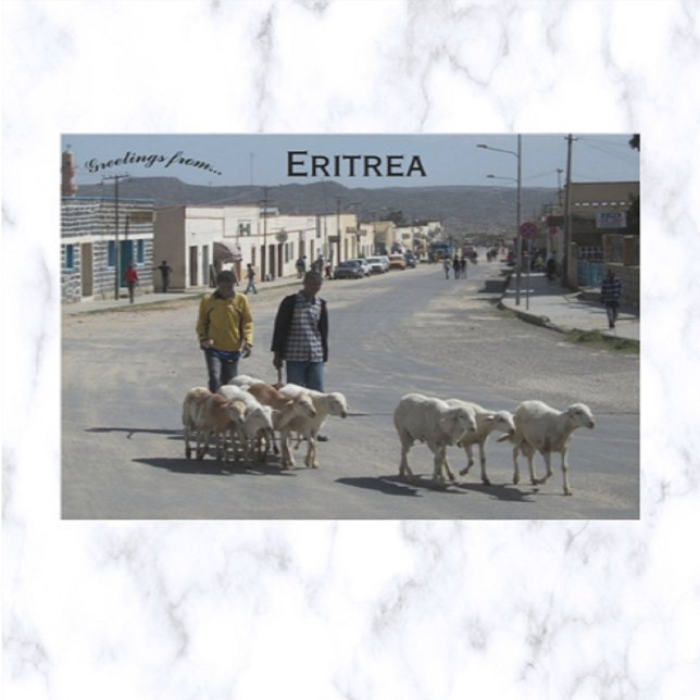 Shepherds and Their Flock in Dekemhare Eritrea Postcard (Creator Uploaded)