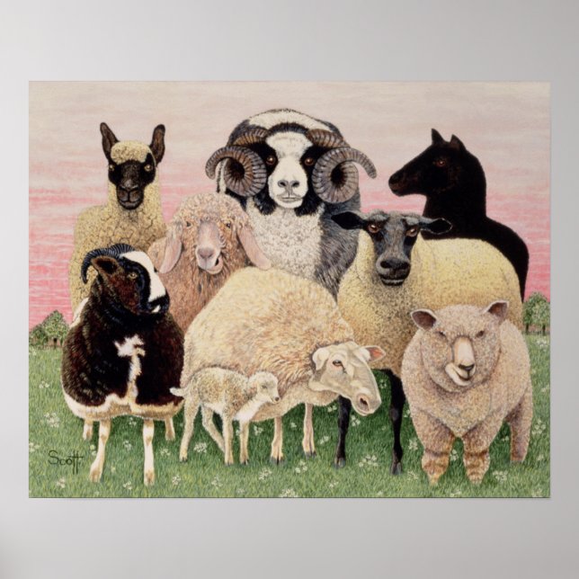 Shepherds Delight Poster (Front)