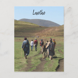 shepherds lesotho postcard