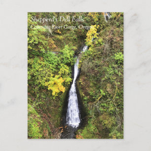 Shepperd's Dell Falls, Columbia River Gorge, OR Po Postcard