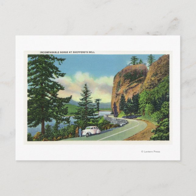 Shepperd's Dell View of Incomparable Gorge Postcard (Front)