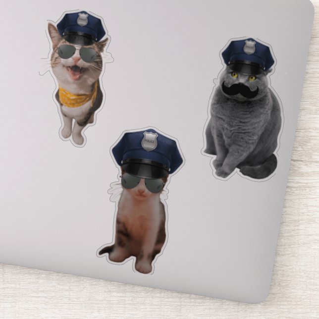 Sheriff Cat (Detail)