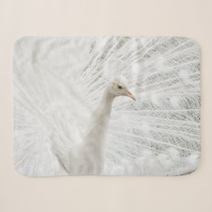 Sherpa Blanket
