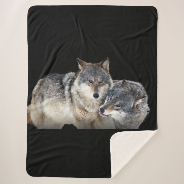 Sherpa Blanket (Front)