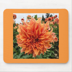 Sherwood's Peach Dahlia Mouse Pad