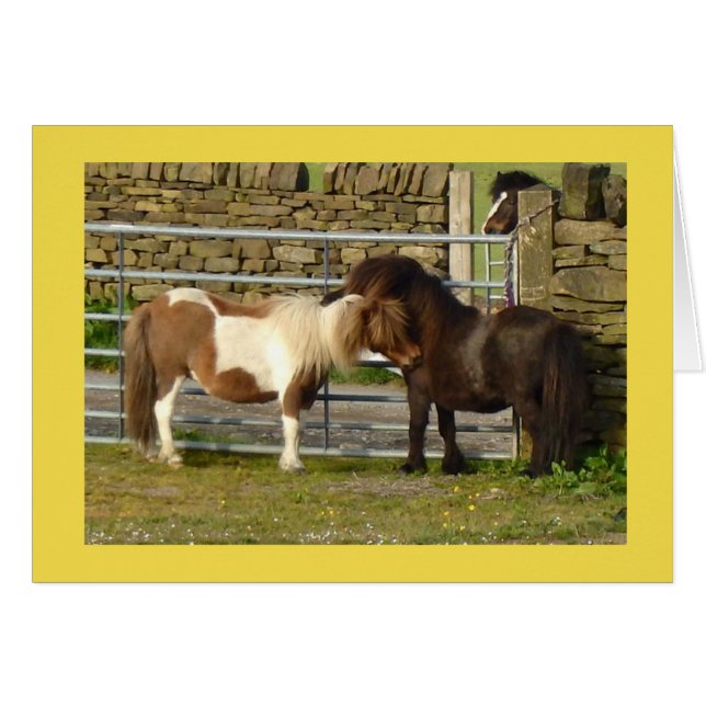 Shetland ponies card (Front Horizontal)