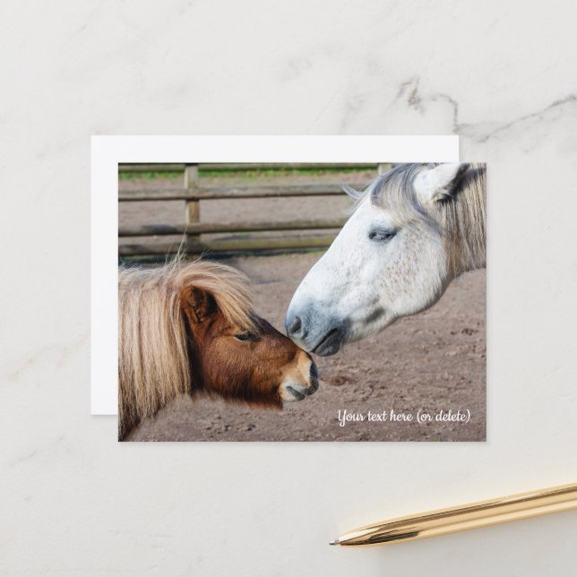 Shetland Pony and Highland Pony Postcard (Front/Back In Situ)