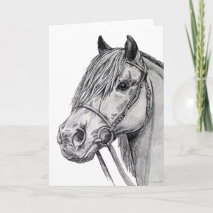 Shetland Pony Card