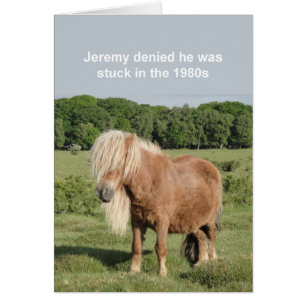 Shetland pony card