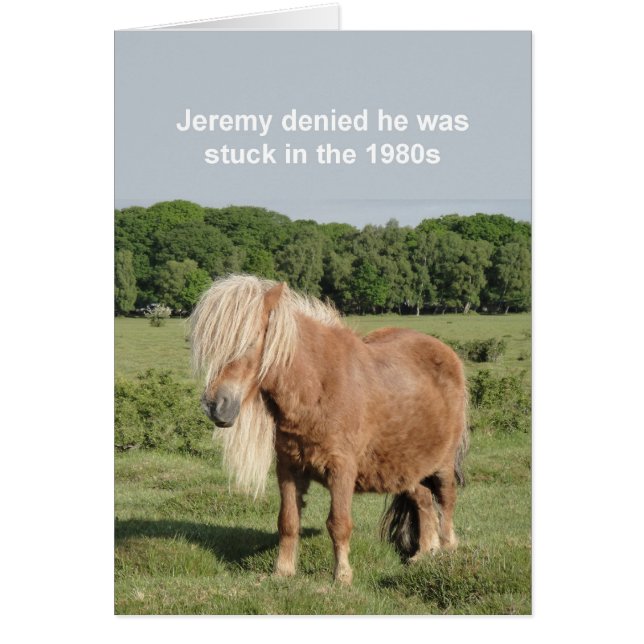 Shetland pony card (Front)