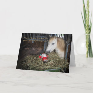 Shetland pony Christmas Holiday Card