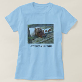 Shetland Pony Ladies Baby Doll T-Shirt