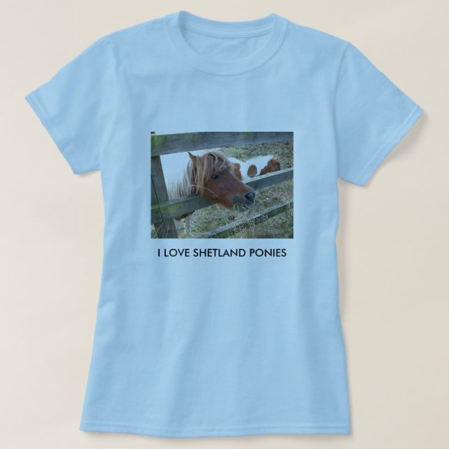 Shetland Pony Ladies Baby Doll T-Shirt (Design Front)
