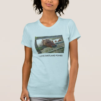 Shetland Pony Ladies Petite T-Shirt
