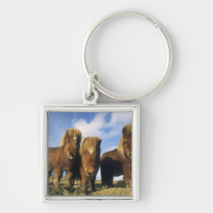 Shetland Pony, mainland Shetland Islands, Key Ring