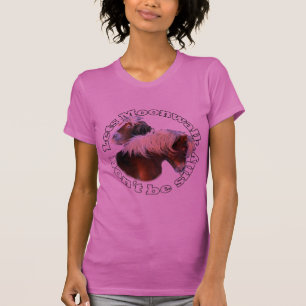 Shetland pony moonwalk T-Shirt