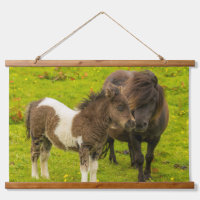 Shetland Pony Mother and Offspring