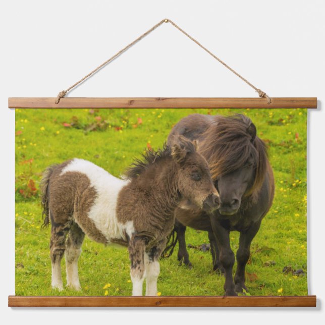 Shetland Pony Mother and Offspring Hanging Tapestry (Front)