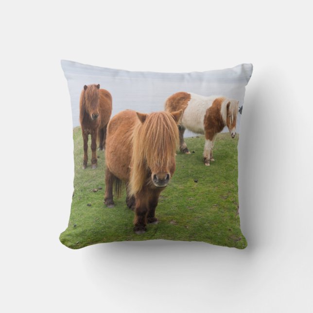 Shetland Pony on Pasture Near High Cliffs Cushion (Front)