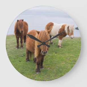 Shetland Pony on Pasture Near High Cliffs Large Clock