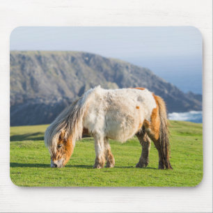 Shetland Pony on Pasture Near High Cliffs Mouse Pad