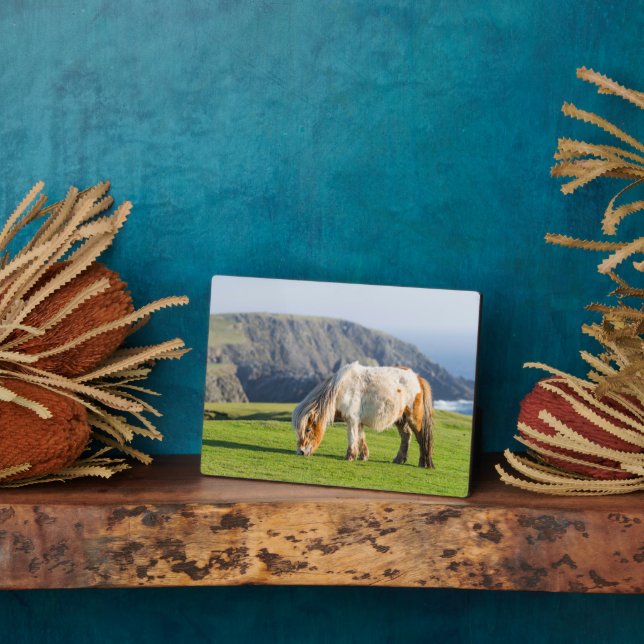 Shetland Pony on Pasture Near High Cliffs Plaque (Side)