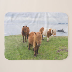 Shetland Pony on Pasture Near High Cliffs Sherpa Blanket