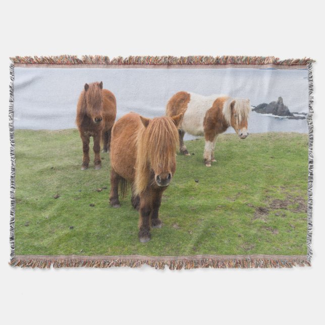 Shetland Pony on Pasture Near High Cliffs Throw Blanket (Front)
