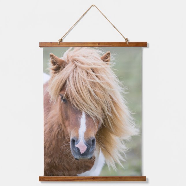 Shetland Pony on the Island of Unst Hanging Tapestry (Front)