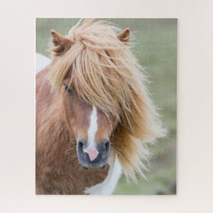 Shetland Pony on the Island of Unst Jigsaw Puzzle